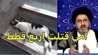 قتلنا اربع قطط هل علينا اشكال / السيد رشيد الحسيني