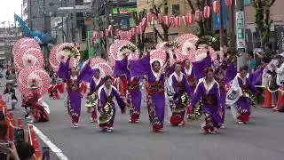 草加よさこい2025 ～ 黎霞