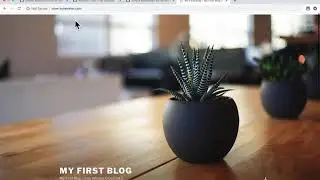 How-to | Use Simple Application Server to Deploy Wordpress Website