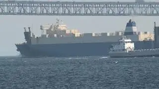 Ro Ro Cargo Ship HIMAWARI TOKYO 10 2025