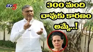 TRS Leader Harish Rao Exclusive Interview On Telangana Elections | TV5 News