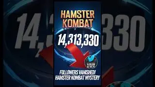 Hamster kombat twitter followers 😃 #hamsterkombat #hamster #viralvideo