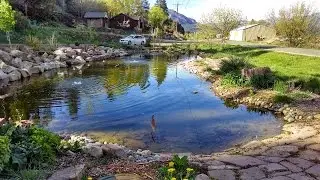 Building Large Pond & Waterfall = Dream Landscaping Durango Colorado & Gardenhart Landscape & Design