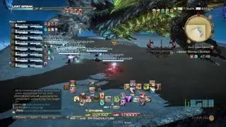 Shinryuu EX minilvl no echo