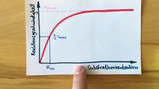 Michaelis-Menten-Konstante