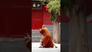 Shaolin Diamond Boxing Part.3 - 少林金刚拳 by Master Shi Hengjun #kungfu #shaolin
