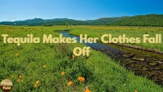 Joe Nichols - Tequila Makes Her Clothes Fall Off (Lyrics)