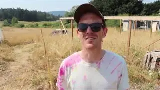 Thriving Non-Profits: LifeCycles Project