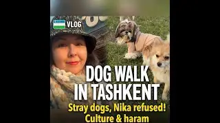 Daily Life in Uzbekistan: Walking Nika & Joy (Stray dogs & Culture)