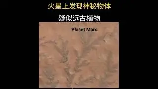 Penampakan Planet Mars, tanda2 kehidupan? #shorts #mars