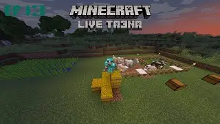Minecraft Live Ta3na Ep13: ليوم أكثر نهار منتضر