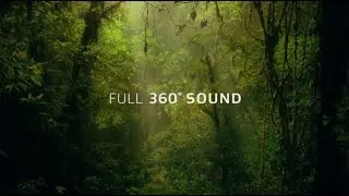 LG OLED&nbsp;: Dolby Atmos: .un son&nbsp;enveloppant