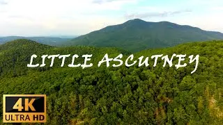 Rattlesnakes in Vermont!? Watch Your Step at Little Ascutney Wildlife Refuge! #venom