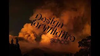 Why is now the time rethink how we design for resilience to wildfire? | Design for Wildfire