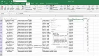 Excel with Finance: Understanding the Federal Budget