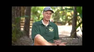 Overview of the Mountain Bongo Repatriation Project