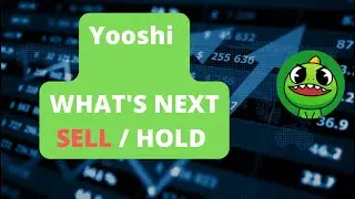 YOOSHI !! DOWN AND DOWN | WHAT TO DO ? #yooshi