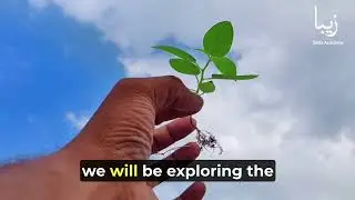 Plant-Human Relationships: Exploring the Deep Connections Between Humans and Plants