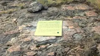 Visit NCC's Sage and Sparrow Conservation Area