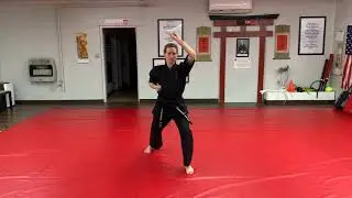 Karate Essentials SMA:  3 Beginner Blocks