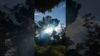 #sunset #moonlight