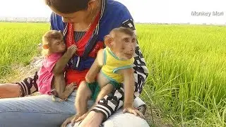 Mori Very Tired And Sleepy When Happy Out side with Dodo