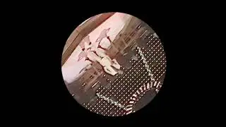 Pino D'Angi&ograve; - Okay Okay (Phenomena Edit)
