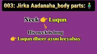 Ereyo Cusub English iyo Somali • English to Somali Daily Used Vocabulary Part 3