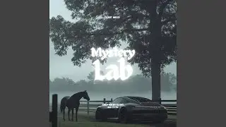 Mystery lab