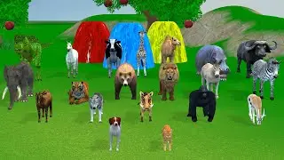 Long Slide Game with Cow Elephant Gorilla Hippopotamus Tiger 3d Animal Game Funny 3d Animals