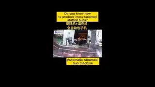 Amazing Mass-steamed Bun Processing Line
