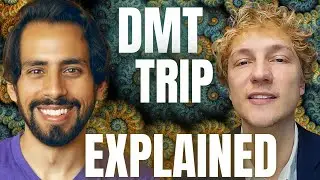 Ramin Nazer&rsquo;s famous DMT trip EXPLAINED