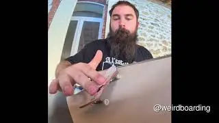 FingerGods Weekly: Top 10 by December 2020