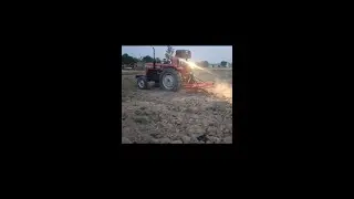 MAssey 241