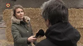 Koeienboer Bram (20) emigreert naar Duitsland: 'Ik heb geen andere keus'