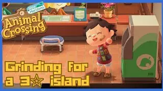 Animal Crossing New Horizons- New Island setup