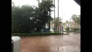 DIsney AllStar Resort Florida, Short Clip of Heavy Rain. 8/7/2020, 5:23pm.