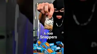 5000 Snappers VS Concrete test 💥