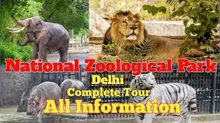 #Delhi Zoo  #Delhi ka Chidiyaghar #National Zoological Park / Chidiyaghar Delhi 