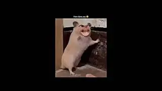 How dare you 😡 #reelsshortvideo #harekfriendkaminahotahai #comedy #funny #explore #reels