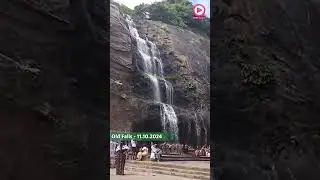 Old Falls | 11.10.2024 | Moderate Waterflow | Bathing Allowed | Less Crowd | Kutralam Live