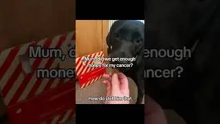 #donate #cancercure #4upage #cancertreatment #savemydog #puppy #cute