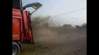 Spandiletame  Vaschieri  at work