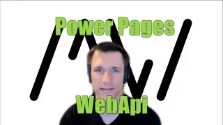 Using the WebApi with the Power Pages Client API