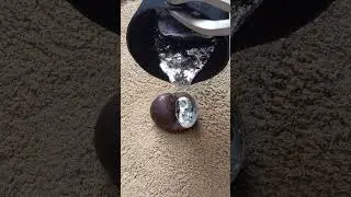 Snail shell transformation: ASMR metal art #shorts #viralvideo #satisfying #asmr #art