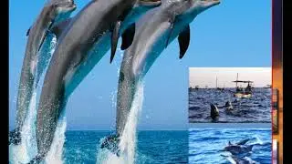 bali private tour package price