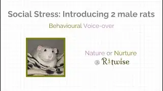 Social Stress in Adult Rats