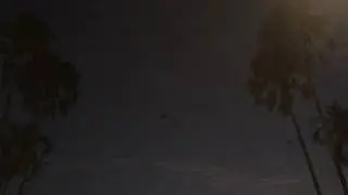 Cairns 2018 - Bats (5)@Cairns Library