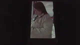 The 