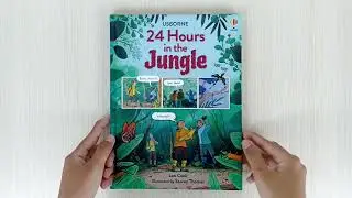 Usborne 24 Hours In The Jungle | Book Flip Through